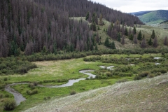 US Forest Service Fishing