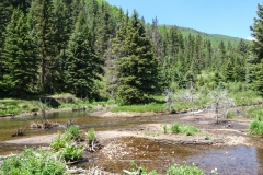 US Forest Service Fishing