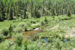 US Forest Service Fishing