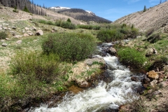 US Forest Service Fishing